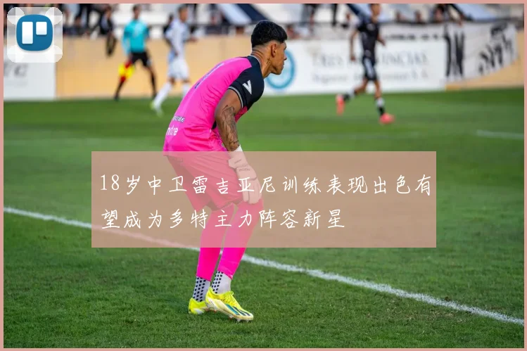 18岁中卫雷吉亚尼训练表现出色有望成为多特主力阵容新星