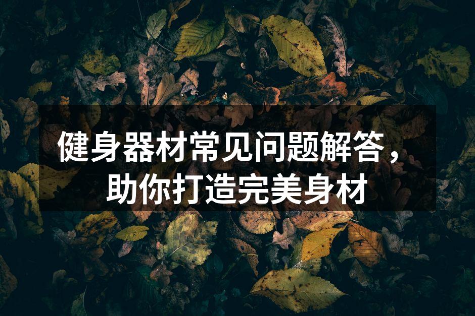 基础健身器材展示