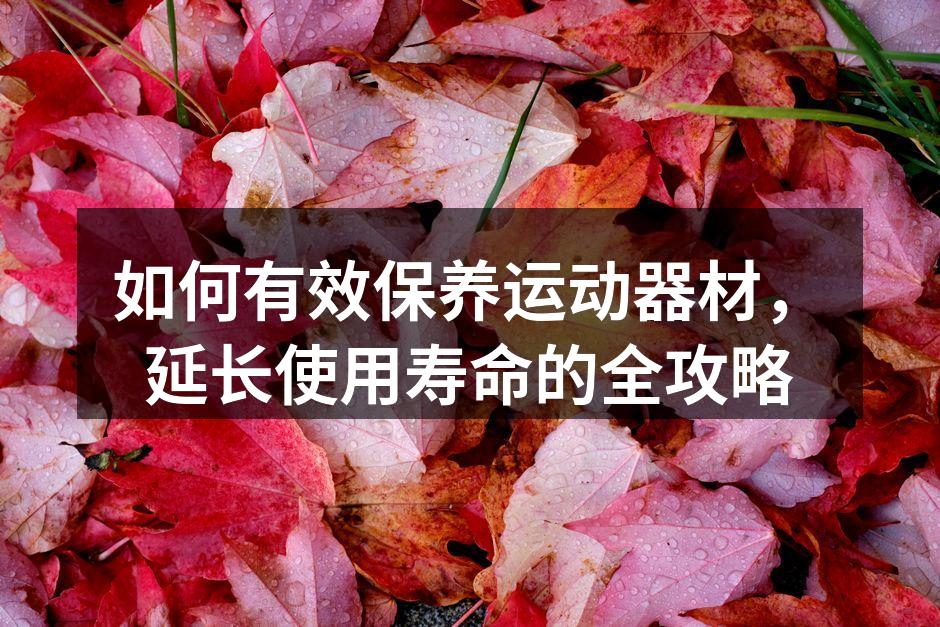 定期清洁运动器材，保持最佳状态