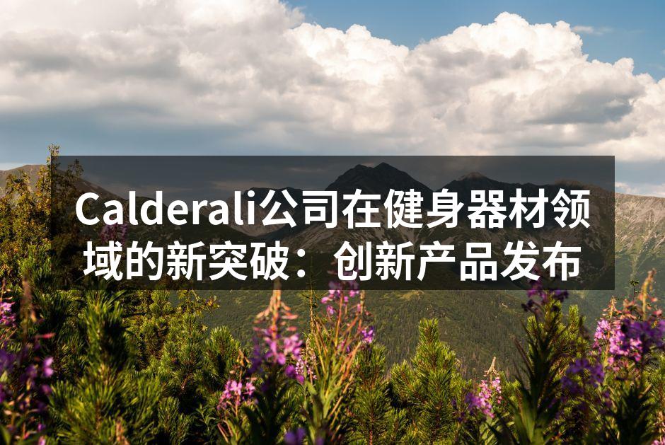 Calderali新款智能健身器材